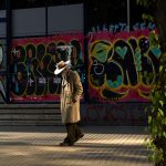 Конопляное масло - свойства и преимущества для здоровья и красоты unsplash_773.jpg